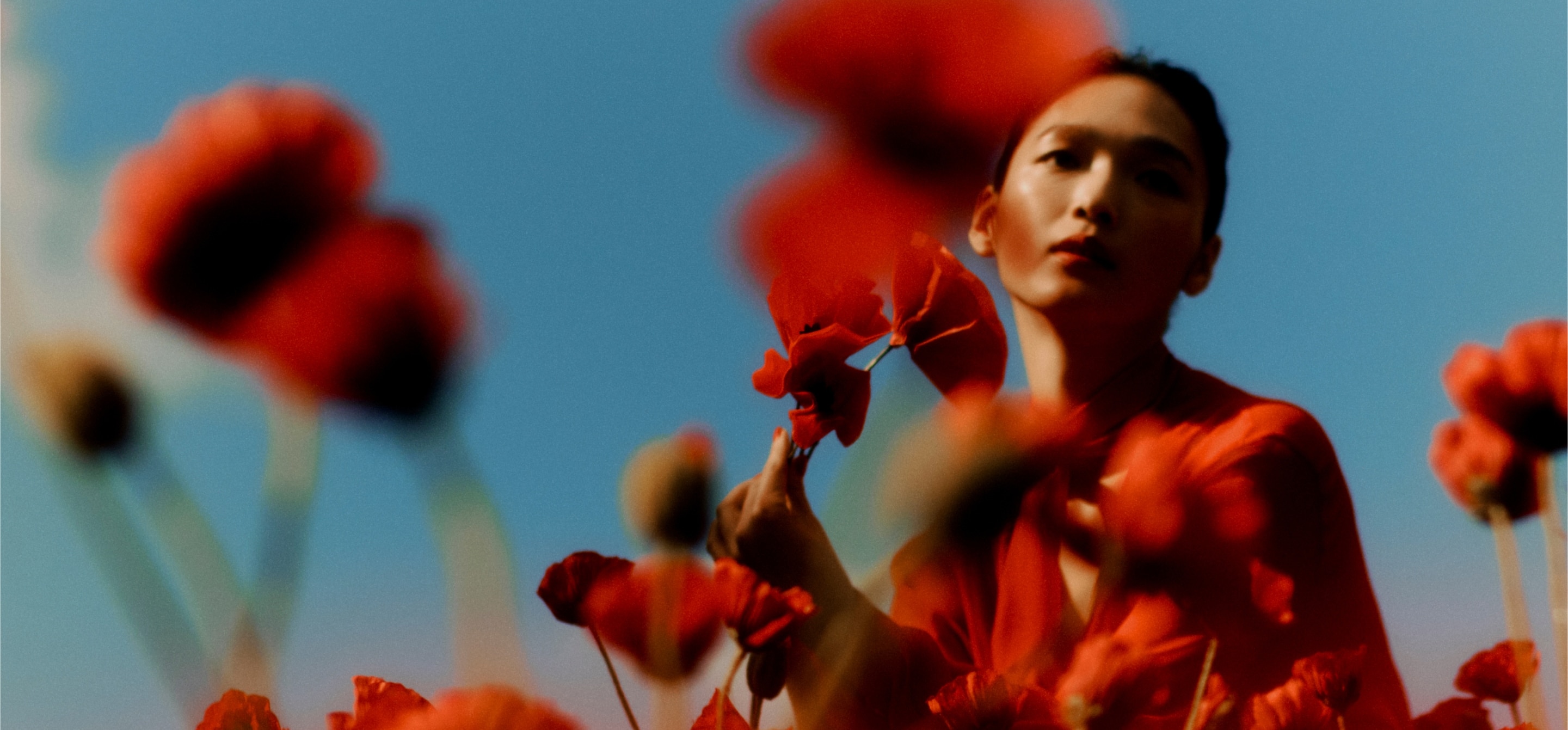 'A figure sits in the background of a field of poppies under a blue sky. The poppies are slightly blurry in the foreground.